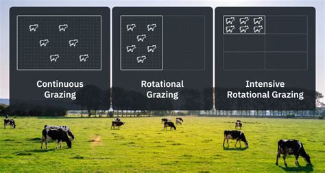 Pasture Management How To Plan And Implement It Effectively