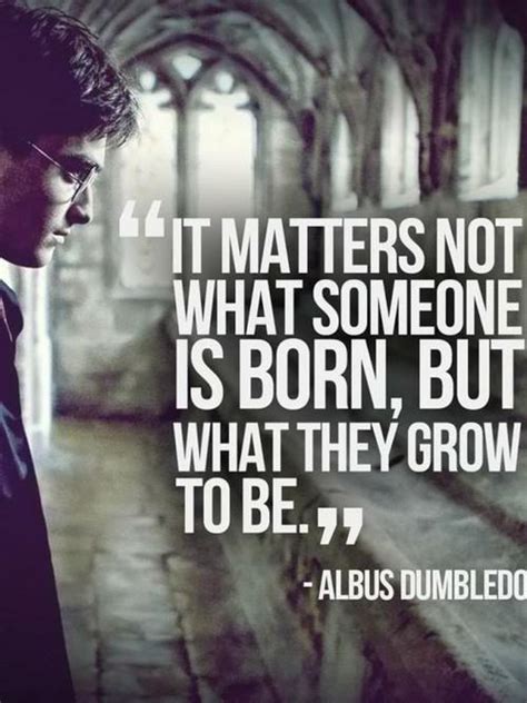 Dumbledore Quotes. QuotesGram