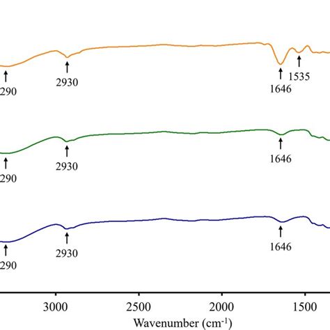 Fourier Transform Infrared Ftir Spectra Of Wheat Flour Cross‐linked