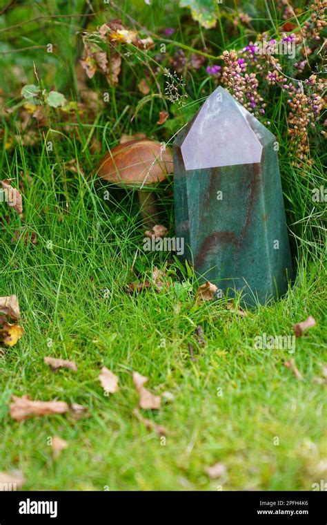 Green Aventurine Crystal Quartz On Grass With Mushroom Picture Taken