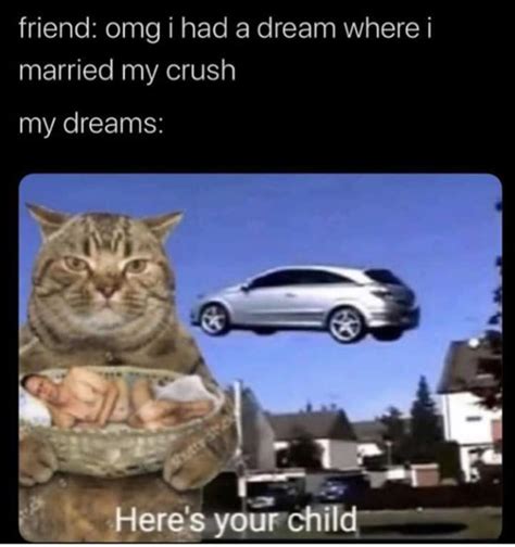 In Your Dreams Meme