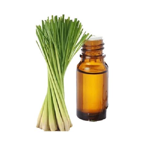 Pure Lemongrass Oil At Best Price In Chennai Tamil Nadu Shidhi Traders