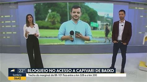 Cãozinho pede carinho ao vivo para repórter e rouba a cena na NSC TV