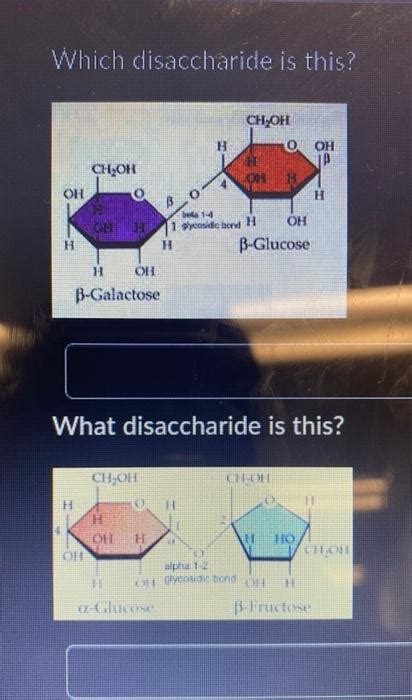 Solved Which disaccharide is this? What disaccharide is | Chegg.com