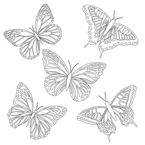 Un Conjunto De Mariposas En Blanco Y Negro Sin Relleno Para Libros