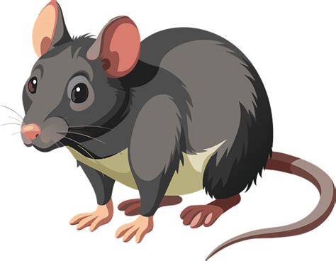 Free Cartoon Rat Vector Art - Download 7,665+ Cartoon Rat Icons ...