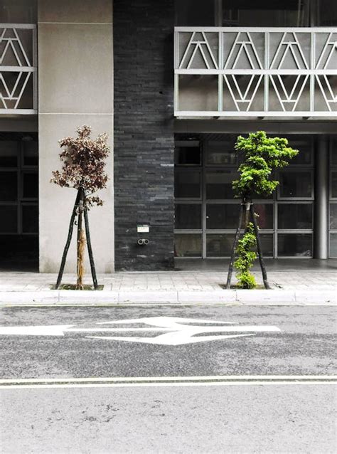 Plants on a Sidewalk Near a Concrete Building · Free Stock Photo