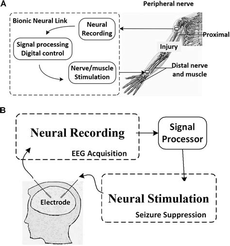 Frontiers Advances In Neural Recording And Stimulation Integrated Circuits