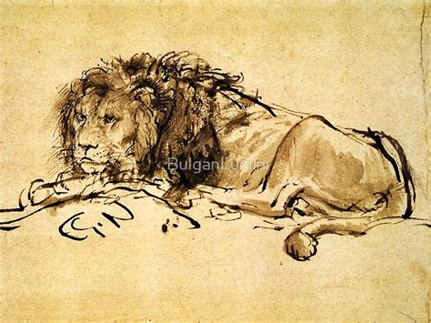 Lion Lying Down Drawing at PaintingValley.com | Explore collection of ...