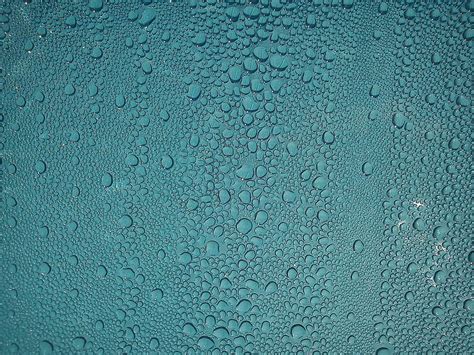 Hd Wallpaper Photography Of Water Dew Drop Of Water Condensation