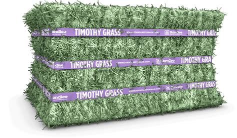 Premium Timothy Compressed Bale Standlee Premium Forage