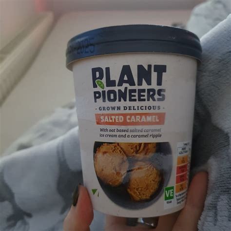 Plant Pioneers Salted Caramel Ice Cream Review Abillion