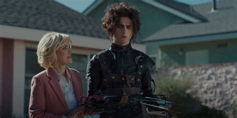 Timothée Chalamet Is Perfect for an Edward Scissorhands Reboot