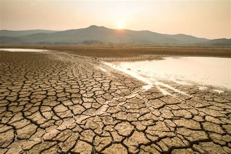 Hadapi Kekeringan Dampak El Nino Ini Strategi Kementan