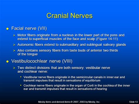 Mosby Items And Derived Items 2007 2003 By Mosby Inc Slide 1