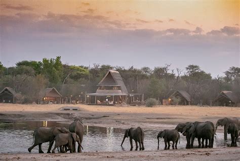 The Hide Hwange National Park Updated 2022 Prices And Campground Reviews Zimbabwe