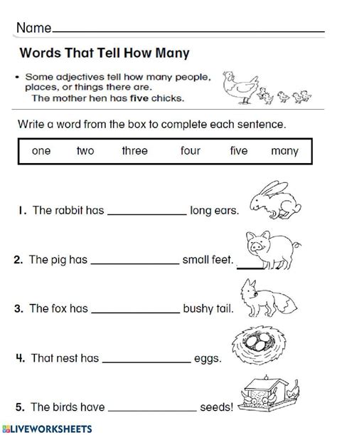 Adjective How Many Worksheet Live Worksheets Worksheets Library