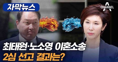 자막뉴스 최태원·노소영 이혼소송 2심 선고 결과는