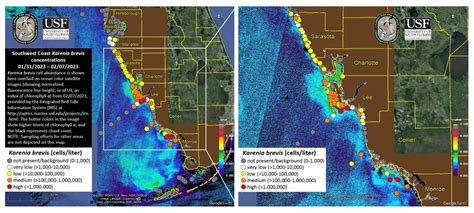 The Florida Department Of Health In Lee County Has Issued A Red Tide Alert