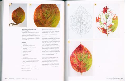 Drawing Painting Botanicals For Artists How To Create Beautifully