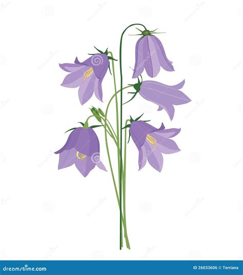 Bouquet With Lilac Bluebells Royalty Free Stock Image - Image: 26033606