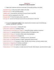 Bsc L Assignment Docx Casey Ruiz Assignment Nervous System