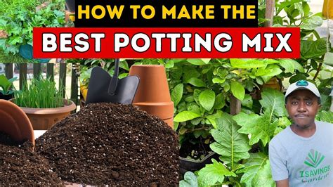 The Ultimate Guide Crafting The Best Potting Mix For Your Plants Youtube