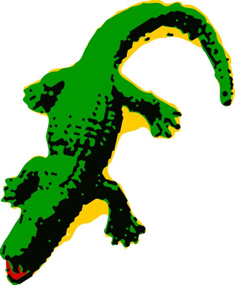 Medium Image Animated Alligator Clipart 660x800 Png Download