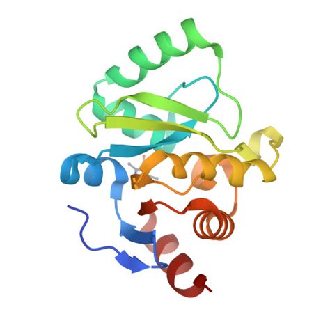 RCSB PDB 5S3N PanDDA Analysis Group Deposition Crystal Structure