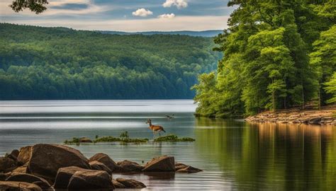 Lake Guntersville State Park: Explore Alabama - Verdant Traveler