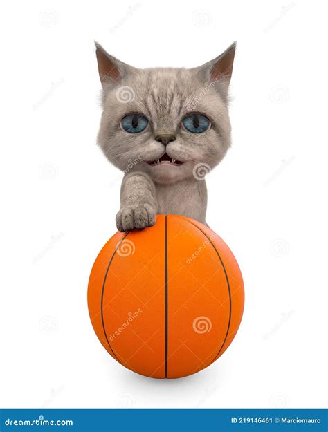 Cute Cat Is Playing Basketball Stock Illustration Illustration Of