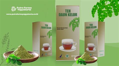 12 Khasiat Teh Daun Kelor Yang Kaya Antioksidan