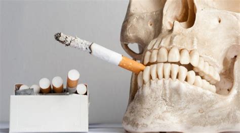 11 Smoking Harms And Disadvantages With Video New Health Advisor