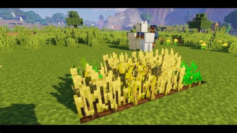 Minecraft Timelapse Of Wheat Growing Youtube