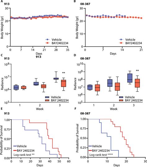 Bay Slows The Growth Of Orthotopic Glioblastoma Xenografts And