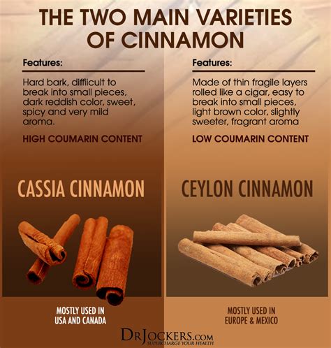 Cinnamon Bark Vs Cinnamon Stick