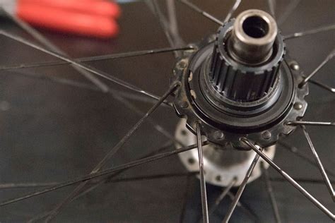 Teardown Shimano Xtr M9100 Hubs