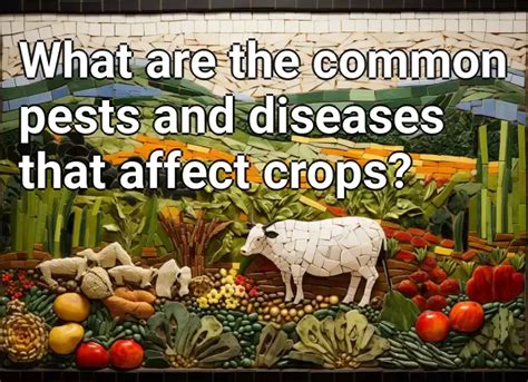 What Are The Common Pests And Diseases That Affect Crops Agriculture Gov Capital