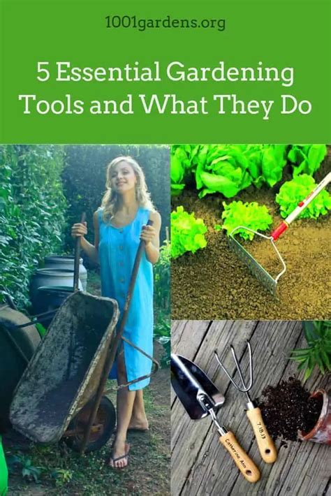 5 Essential Gardening Tools And What They Do 1001 Gardens