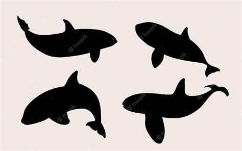 Premium Vector | Hand drawn whale silhouette