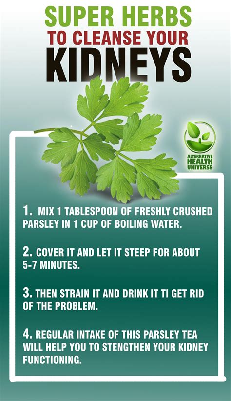 Juices Kidney Cleansing at Michael Gates blog