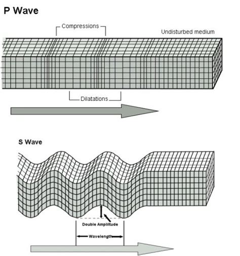 P Waves S Waves And Movement