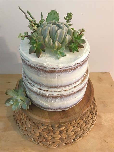 Cactus Cacti Naked Cake