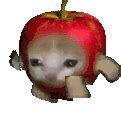 Sad Apple Sticker - Sad Apple Cat - Discover & Share GIFs