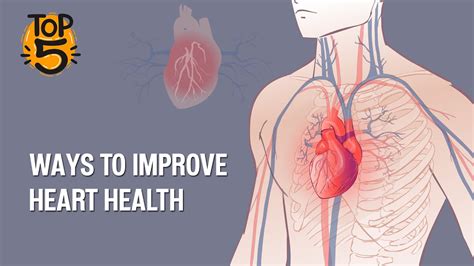 Top 5 Ways To Improve Your Heart Health Doctor Asky