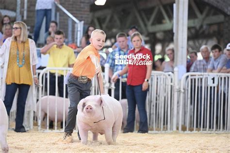 The Exposition Junior Show Landrace Barrow Show National Swine