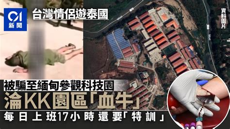 台灣情侶泰國旅遊被騙去緬甸「kk園區」 淪為血奴遭凌虐生不如死