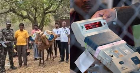 Watch Donkey Caravans Transport Evms To Tamil Nadus Dindigul Villages