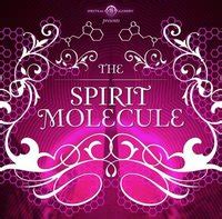 Crop Circle Season: DMT : The Spirit Molecule Documentary Movie (2010)