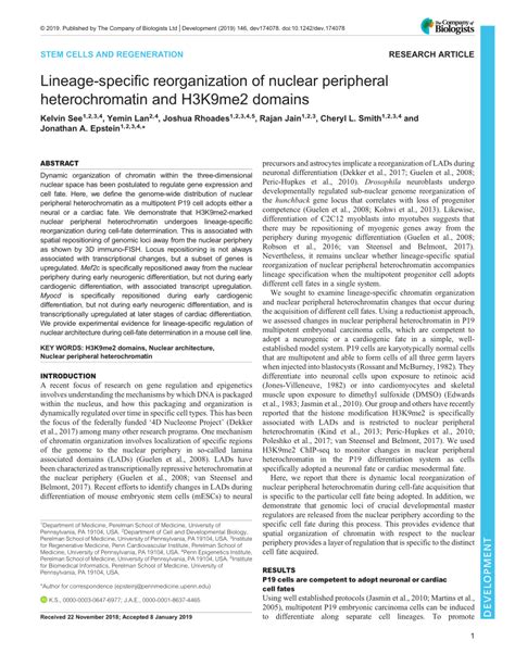 PDF Lineage Specific Reorganization Of Nuclear Peripheral